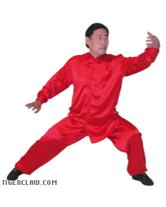 Traditional Long Sleeve 100% Silk Kung Fu Uniform