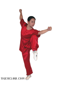 Traditional Short Sleeve 100% Silk Kung Fu Uniform