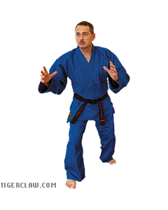 Martial Arts Blue Hayashi Single Weave Judo Uniform