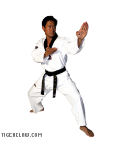 Taekwondo Elite V-Neck Martial Arts Uniform