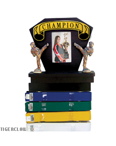 Deluxe Martial Arts Picture Frame & Rank Belt Display