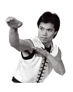Master Tat Mau Wong's Choy Lay Fut Kung Fu DVD Series Titles 