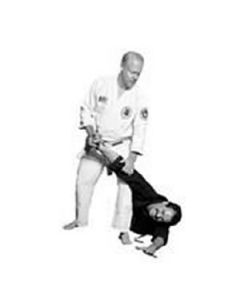 Budoshin Ju Jitsu DVD Series Titles