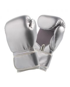 Century Martial Arts Standard Boxing Gloves