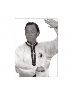 Century Martial Arts Master Dr. Daniel Lee's Tai Chi Chuan Series DVD