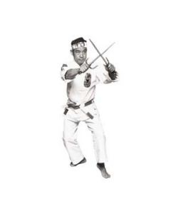 Kendo Instructional DVD by Master Takano 8th Dan 